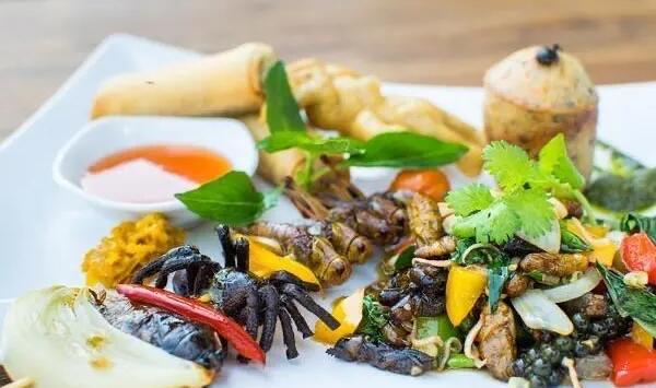 十大全球最恶心食物排行榜:蚊子也可以拿来榨汁  1
