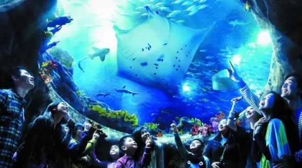 十大全球十大水族馆排名（香港海洋公园也是其一）  3