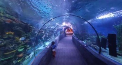 ​全球十大水族馆排名（香港海洋公园也是其一）