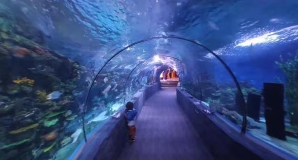 十大全球十大水族馆排名（香港海洋公园也是其一）  1