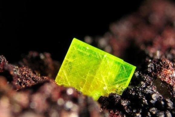 十大世界上最危险的金属元素 铀的危害性有多大  3