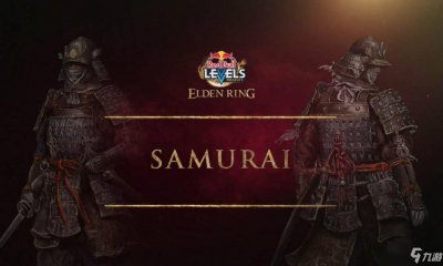​艾尔登法环武士加点