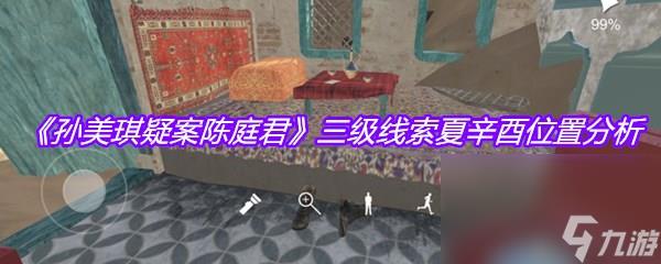 《孙美琪疑案陈庭君》三级线索夏辛酉位置分析