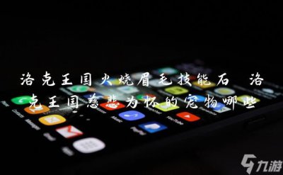 ​洛克王国火烧眉毛技能石 洛克王国慈悲为怀的宠物哪些