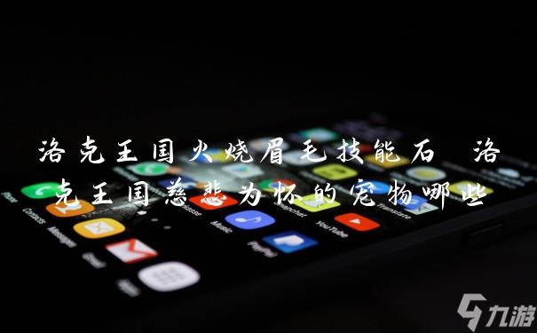 洛克王国火烧眉毛技能石 洛克王国慈悲为怀的宠物哪些