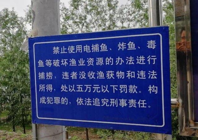 生活非法捕鱼如何处罚  1