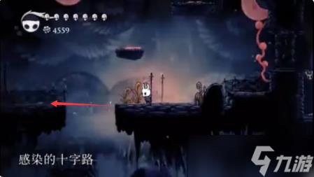 空洞骑士送花任务在哪
