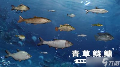 ​天天钓鱼怎么钓龙