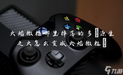 ​火焰微粒哪里掉落的多 源生之火怎么变成火焰微粒