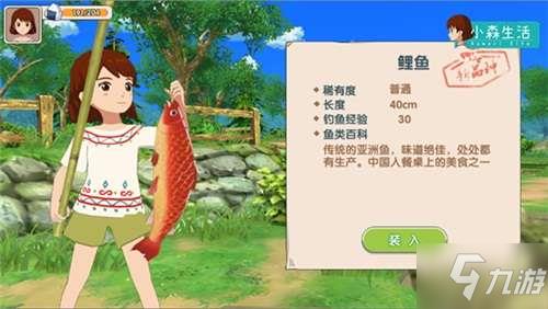 小森生活金枪鱼和沙丁鱼怎么获得-金枪鱼和沙丁鱼获取攻略
