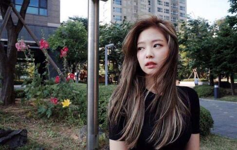 花花公子的特征有什么 花花公子的表现有什么