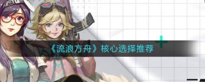 ​流浪方舟核心怎么选择