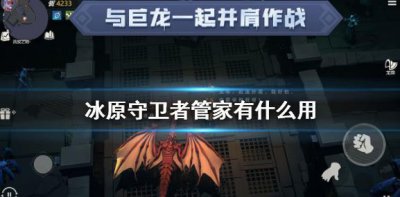 ​冰原守卫者管家的作用是什么