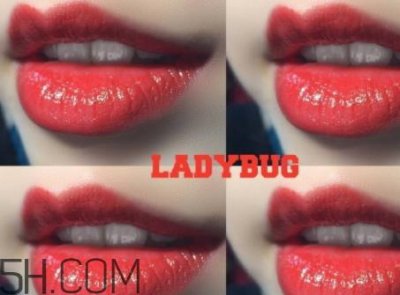 ​mac ladybug多少钱？mac lady bug专柜价格