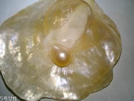 珍珠粉里有哪些成分 成分一览