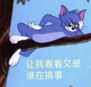 ​表情包 | 让我看看又是谁在搞事