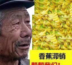 炉石传说：酒馆战旗2位老英雄回归，穆克拉喊你来吃蕉