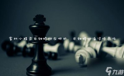 ​掌机小精灵巨钳螳螂在哪抓 巨钳螳螂值得培养吗