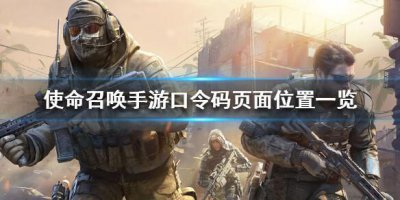 ​使命召唤手游口令码页面位置一览