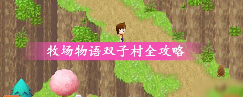 牧场物语双子村全攻略
