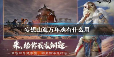 ​妄想山海万年魂有什么用