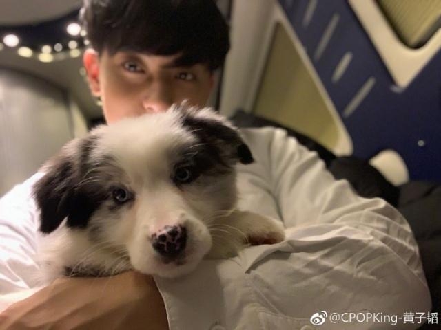 黄子韬养爱犬养得心力交瘁 被狗狗咬出血了，去排队打疫苗！