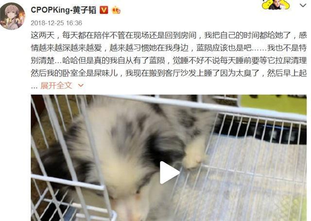 黄子韬养爱犬养得心力交瘁 被狗狗咬出血了，去排队打疫苗！