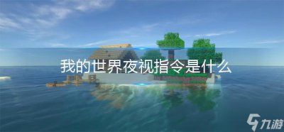 ​我的世界夜视指令是什么
