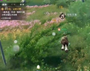 ​天谕手游课堂展示二昆虫的声音怎么获得收集方法介绍