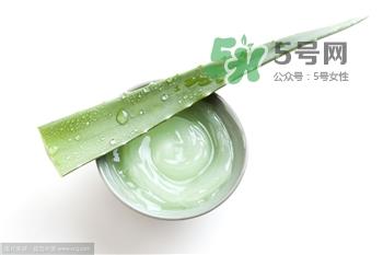 芦荟胶的用法 芦荟胶的妙用