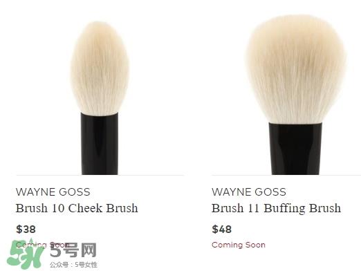 wayne goss是什么牌子？wayne goss化妆刷怎么样？