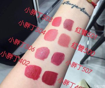 ​小胖丁504和506怎么选 阿玛尼小胖丁504和506试色
