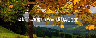 ​轩辕传奇，什么生活技能能赚钱呀（轩辕传奇什么职业省钱)