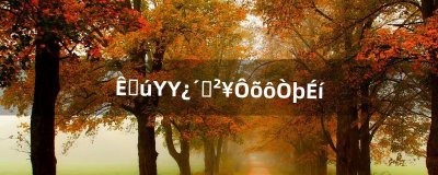 ​手机YY看直播怎么隐身（yy频道隐身软件)
