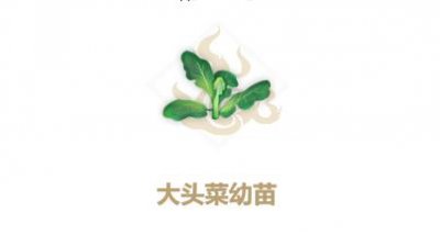 ​妄想山海大头菜幼苗怎么合成