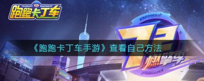 ​跑跑卡丁车手游查看自己方法