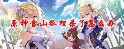​原神雪山狐狸杀了怎么办