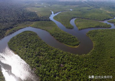 ​号称“人类禁区”的亚马逊河，有多可怕？当地人：不敢下水游泳