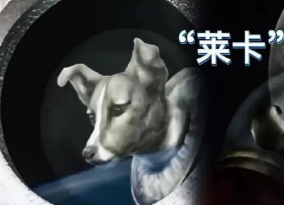 ​太空狗莱卡，第一个进入太空的地球生命