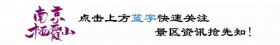 ​栖霞山·植物百科山合欢：不见合欢花，便只能空倚相思树