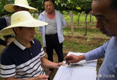 ​网传农村土地每亩回收补偿30万？这件事是真的吗？