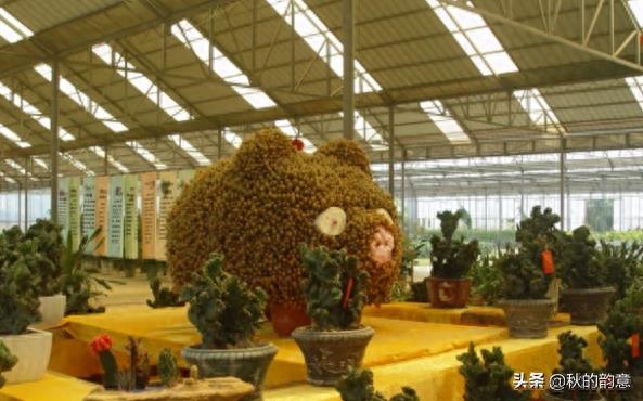 南宁花花大世界4A级景区，面积7300余亩，爱琴海湾等景点美不胜收