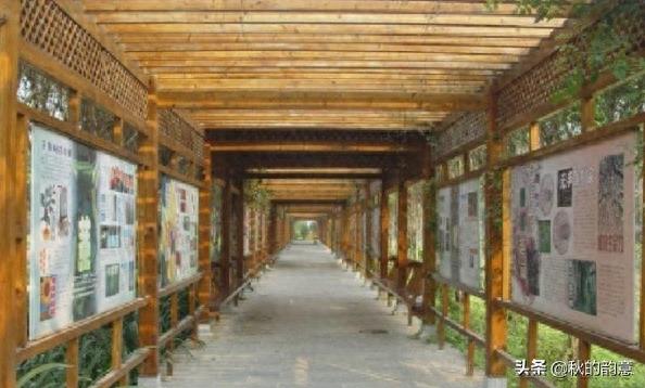 南宁花花大世界4A级景区，面积7300余亩，爱琴海湾等景点美不胜收