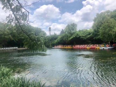 ​花溪湿地公园