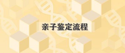 ​亲子鉴定流程