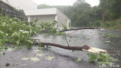 ​台风拐弯，918“泰利”肆虐日本列岛，日本网友称：中国秘密武器