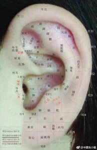 ​耳穴高清图谱