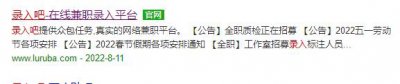 ​赚点零花钱系列之二-录入吧