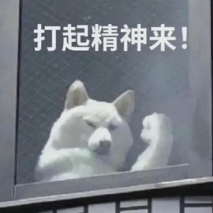 ​小胖子tatan表情包集合~你想要的我都有