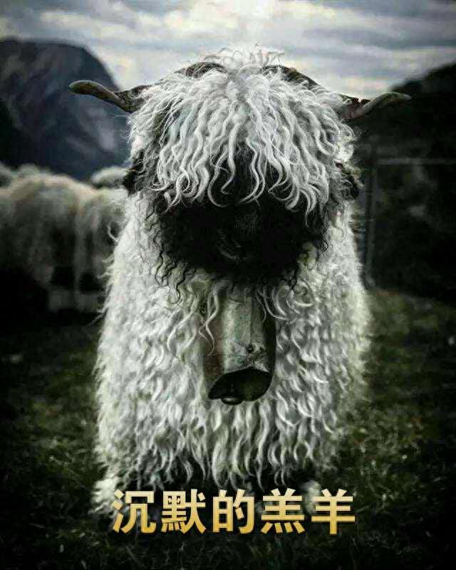 叫“肖恩”的羊来袭！